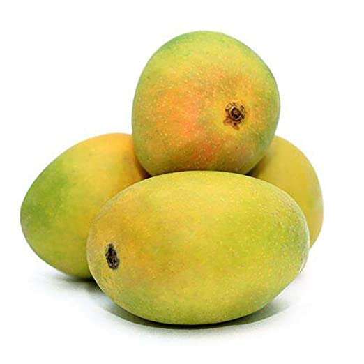 Indian Mangoes Kesar