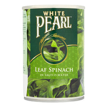 Spinach Leaf