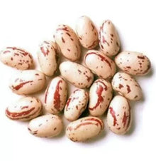 Rose coco beans