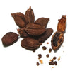 Black Cardamom