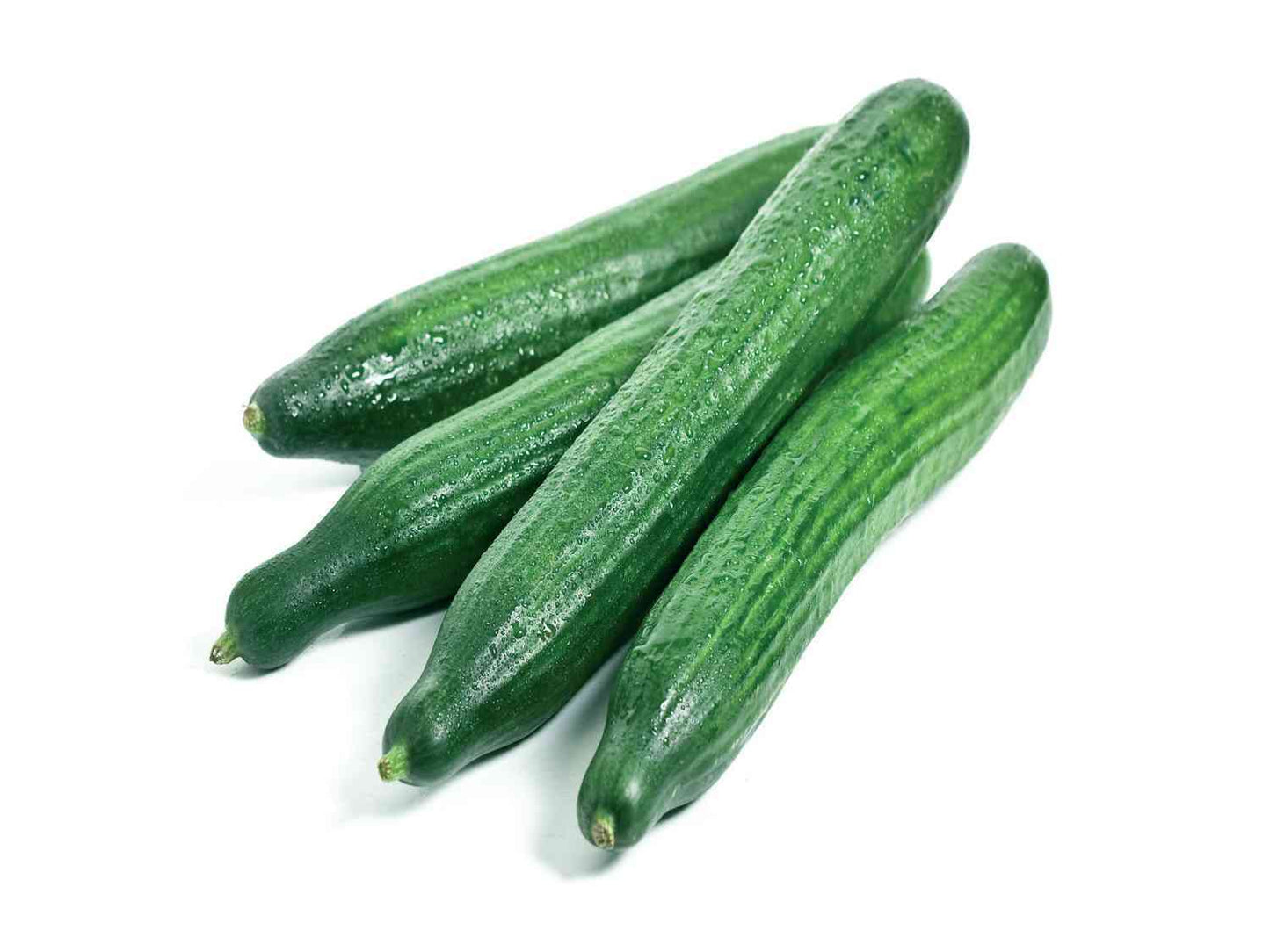 Cucumber