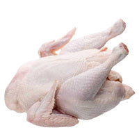 Broiler Chicken whole Skinless & Cut