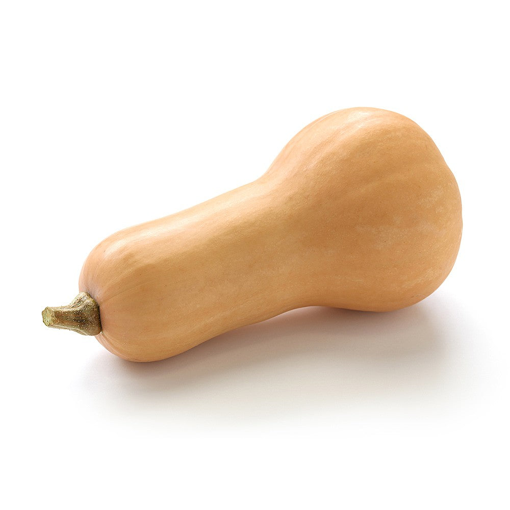 Butternut Squash