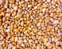 Nigerian Beans