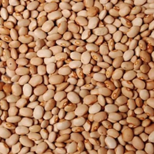 Nigerian Honey Beans