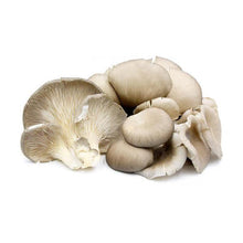 Oyester Mushrooms