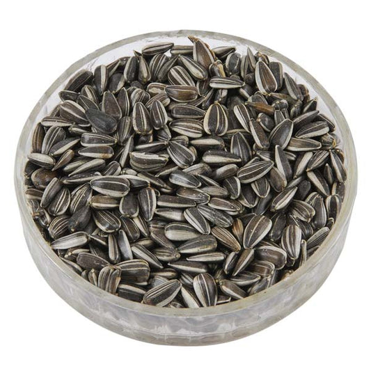 Sunflower seeds