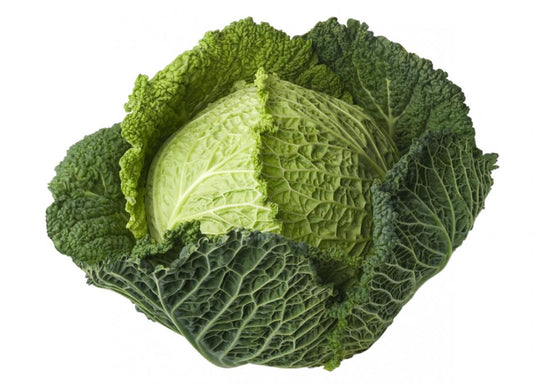 Green Cabbage