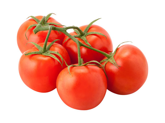 Vine Tomatoes